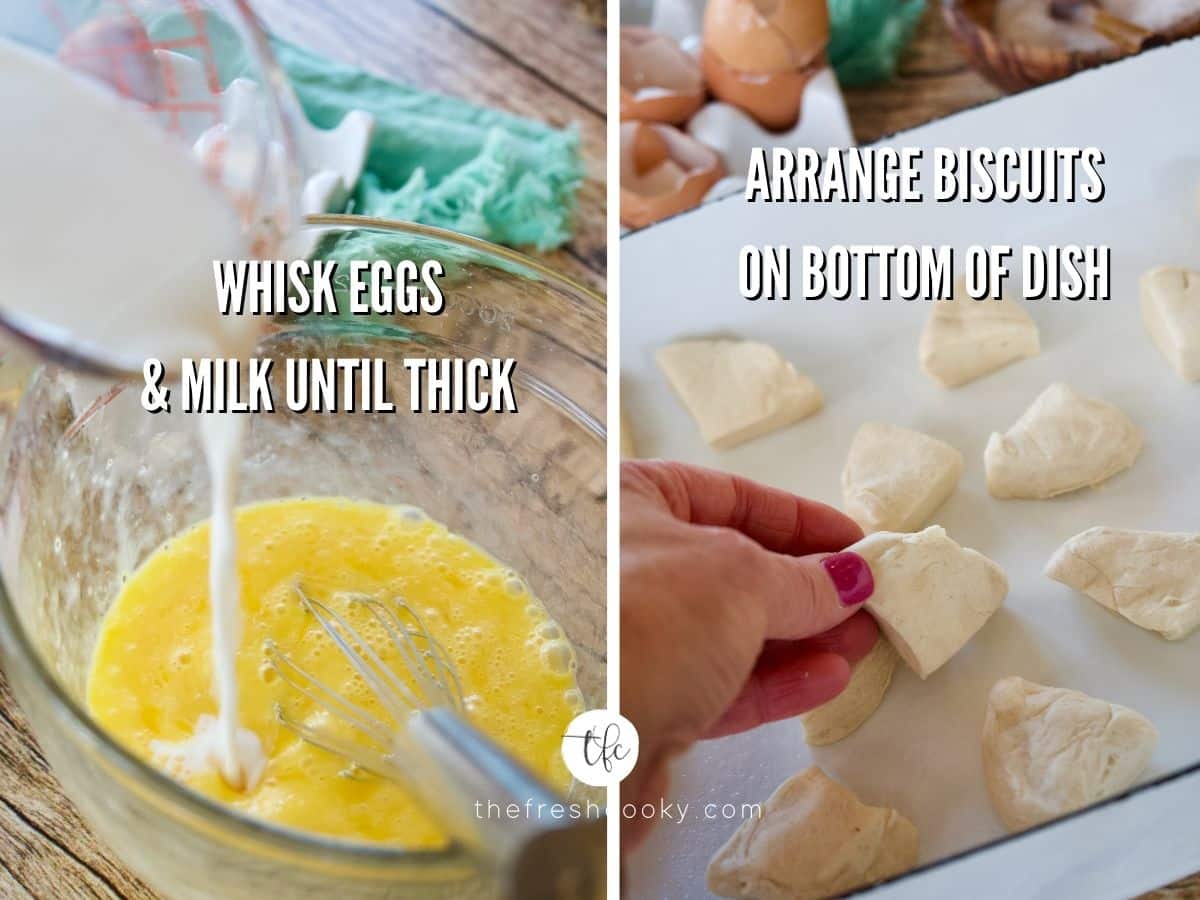 Process shots for biscuits and gravy egg bake 1) mixing milk and eggs 2) placing biscuits in bottom of pan.