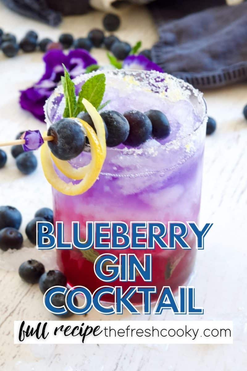 Blueberry Gin Fizz Cocktail with image of blueberry cocktail with fresh blueberries on a skeewer a pretty red, white and blue layered drink.