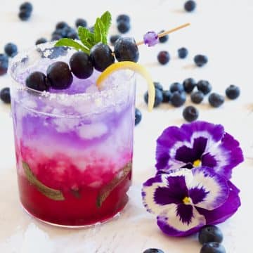 Blueberry Gin Fizz Cocktail (Empress Gin Cocktail)