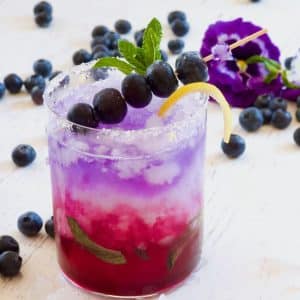 Blueberry Gin Fizz cocktail garnished with blueberries, a layered cocktail.