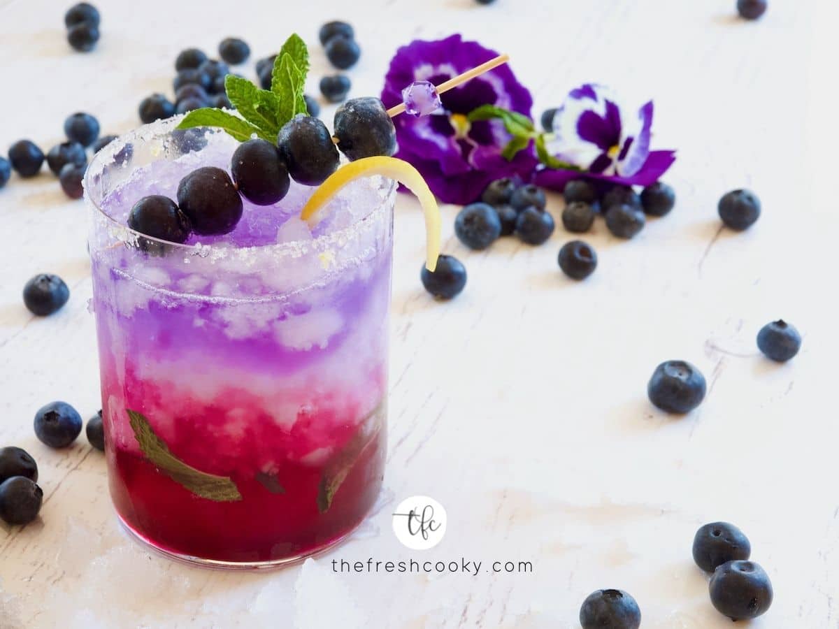 Blueberry Gin Fizz Cocktail (Empress Gin Cocktail) • The Fresh Cooky