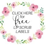 Amazing DIY Strawberry Lip Scrub • The Fresh Cooky