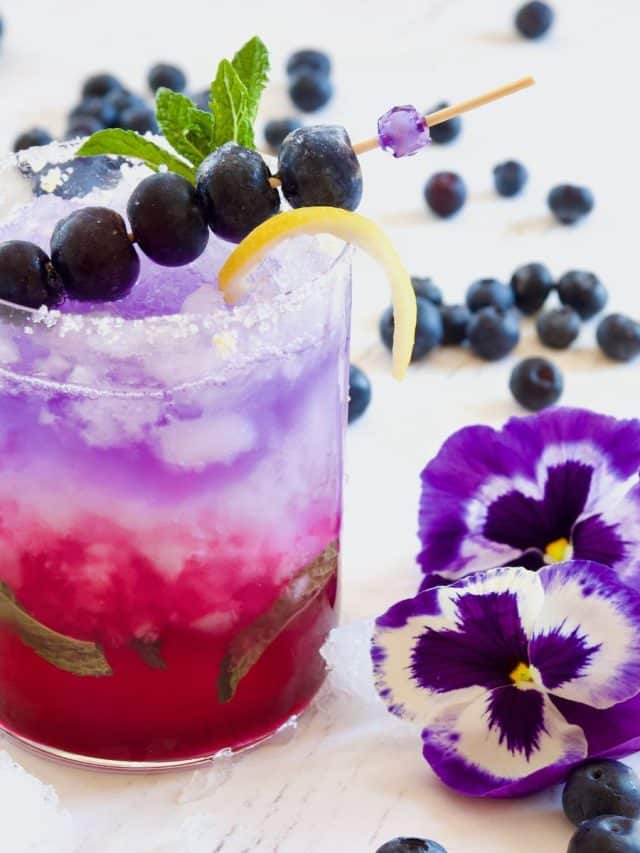 Blueberry Gin Fizz Cocktail Story