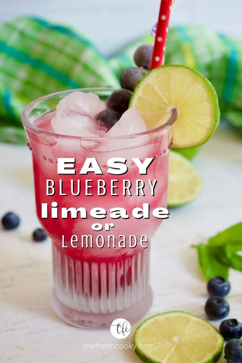 Easy Blueberry Limeade Drink with shot of glass filled with blueberry limeade, blueberries and a lime wheel, plus a red paper straw.