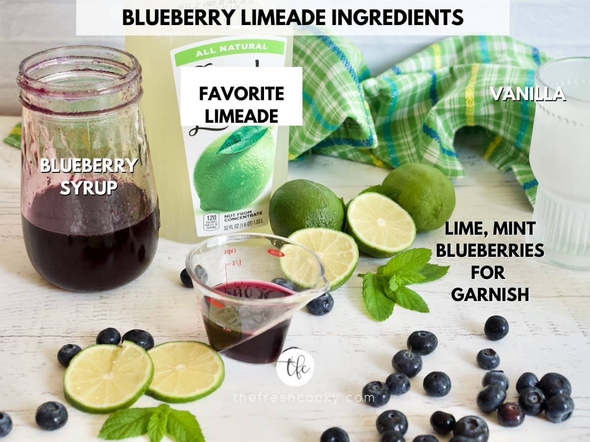 Ingredients for Blueberry Limeade or lemonade drink L-R Blueberry simple syrup, limeade, fresh blueberries, mint and limes for garnish.