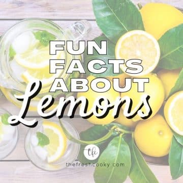 Fun facts about Lemons with image of table full of lemons with leaves and a large pitcher of lemon water.