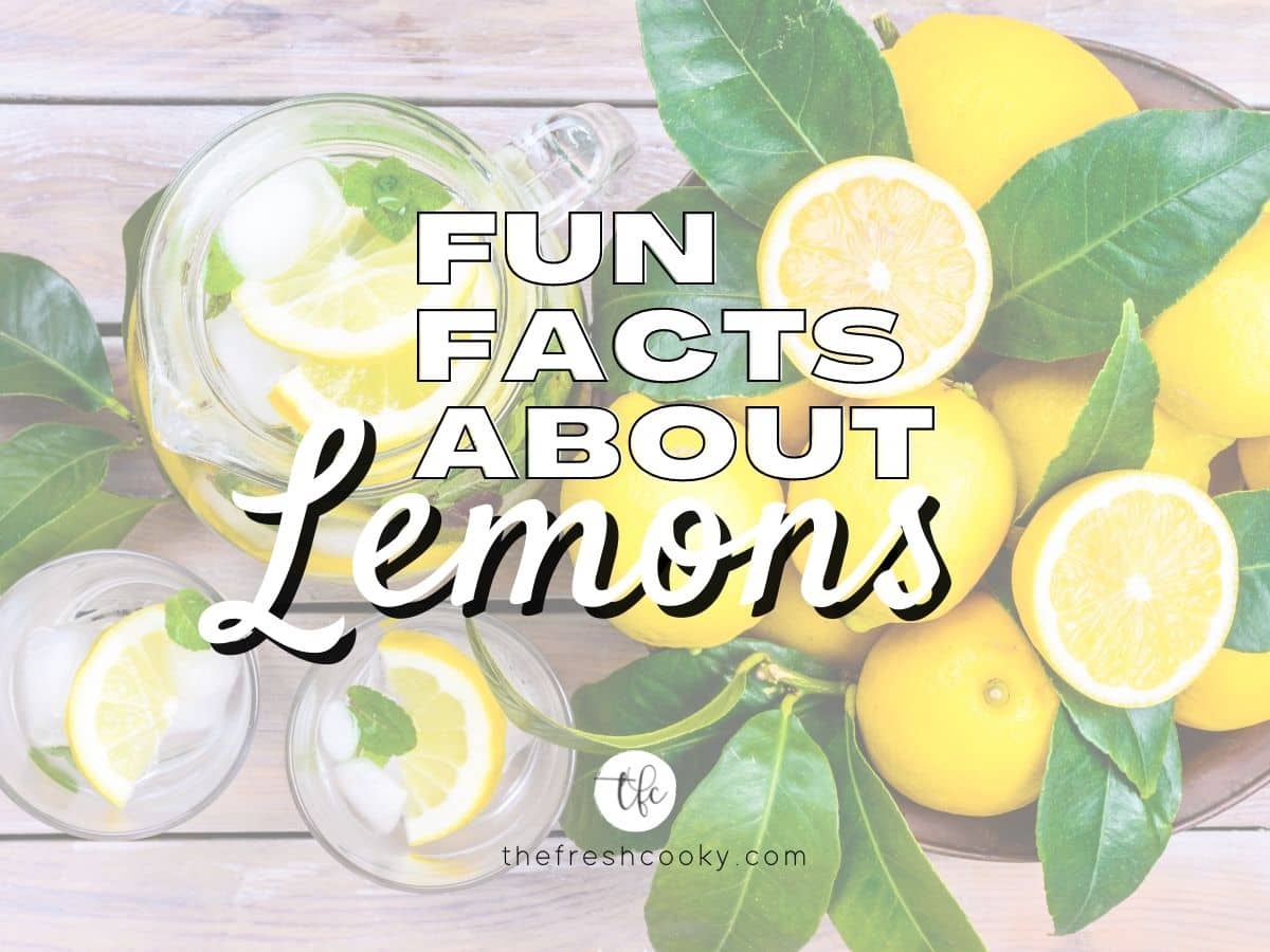 Fun facts about Lemons with image of table full of lemons with leaves and a large pitcher of lemon water.
