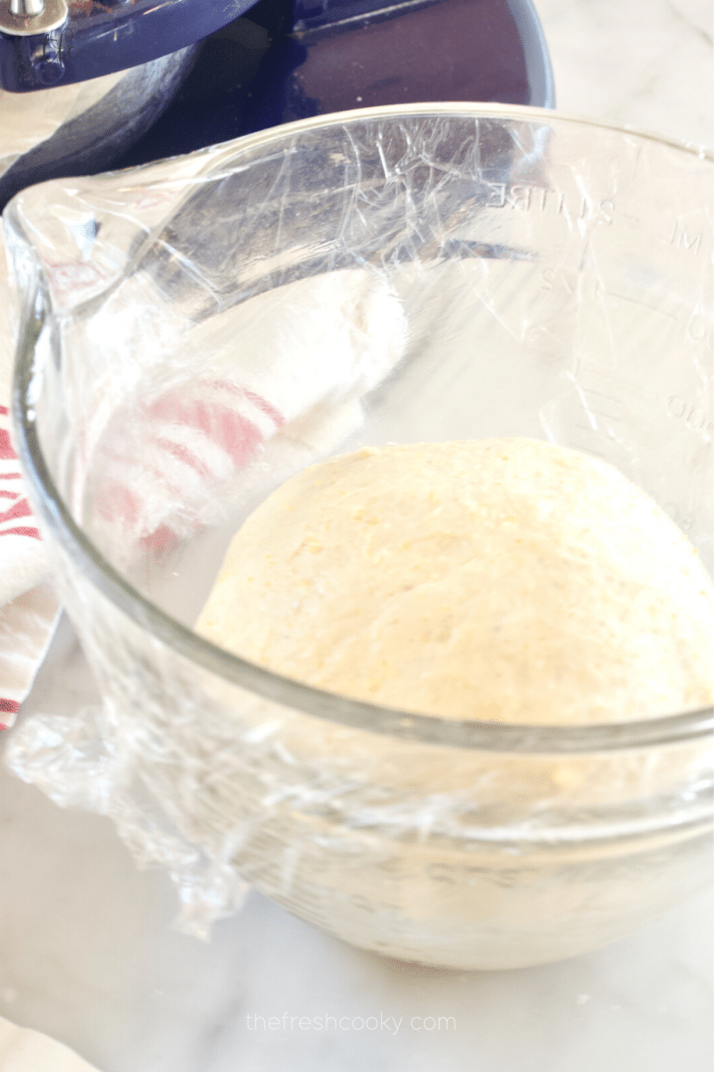 Adding pizza dough  ball to large bowl with olive oil, covered with plastic wrap for rising. 
