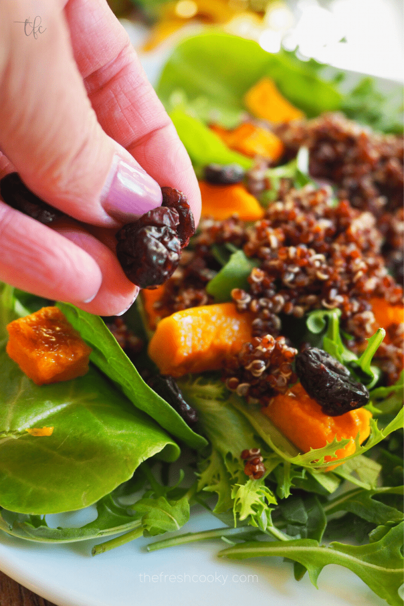 Salad on a plate with roasted butternut squash, quinoa and a hand adding dried cranberries.