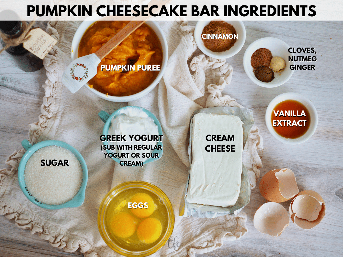 Pumpkin Cheesecake Bars ingredients L-R Pumpkin Puree, Cinnamon, nutmeg, cloves, ginger, vanilla extract, cream cheese, eggs, Greek yogurt and sugar.