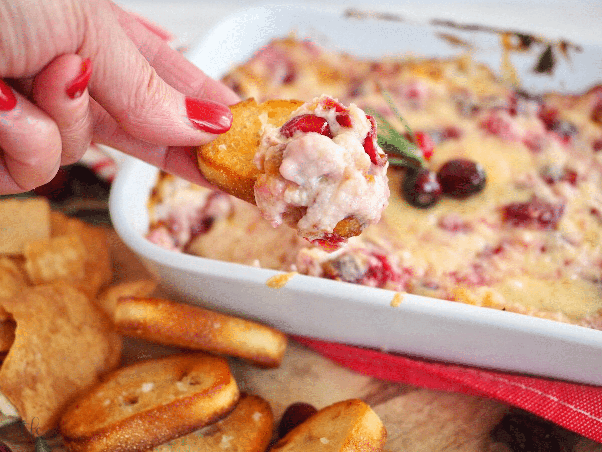 Cranberry White Cheddar Cream Cheese dip with hand holding a crostini with bright red and white dip on the bread.