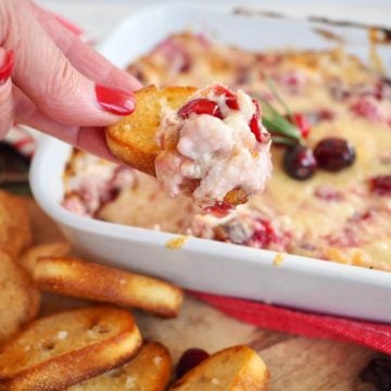 Cranberry Cream Cheese Dip with someone dipping a crostini into the cheesy dip.
