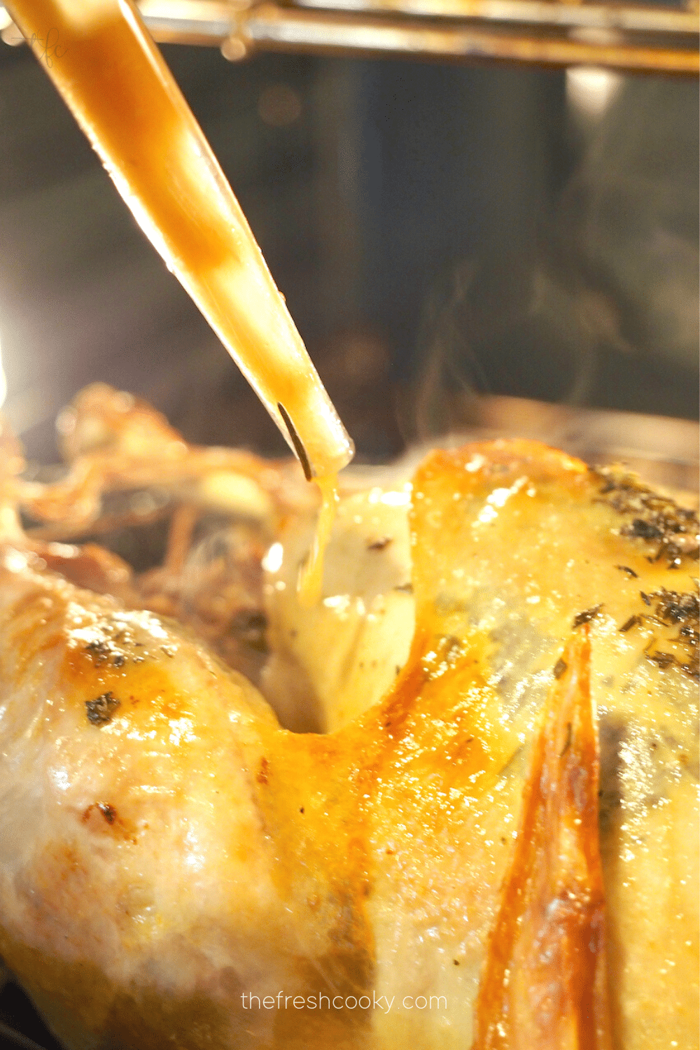 Basting a roasting turkey with turkey juices.