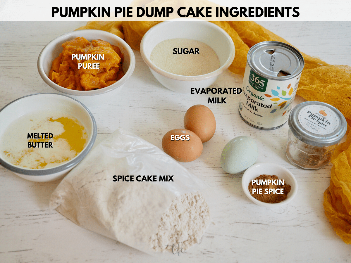 Ingredients shot for pumpkin pie dump cake L-R melted butter, pumpkin puree, sugar, evaporated milk, pumpkin pie spice, eggs and spice cake mix.