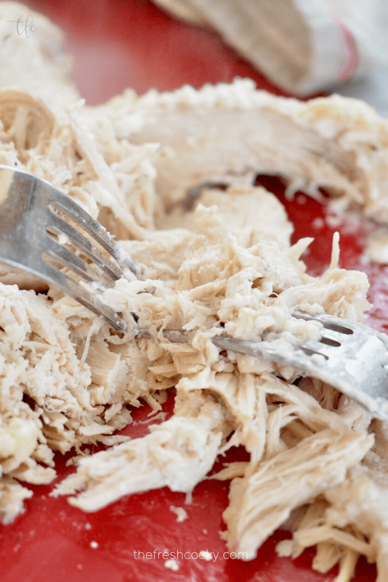 Using two forks, shred the cooked chicken. 