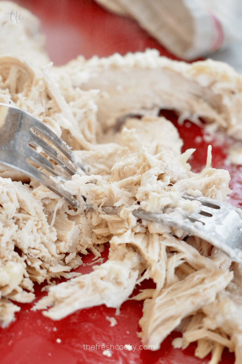 Using two forks, shred the cooked chicken.
