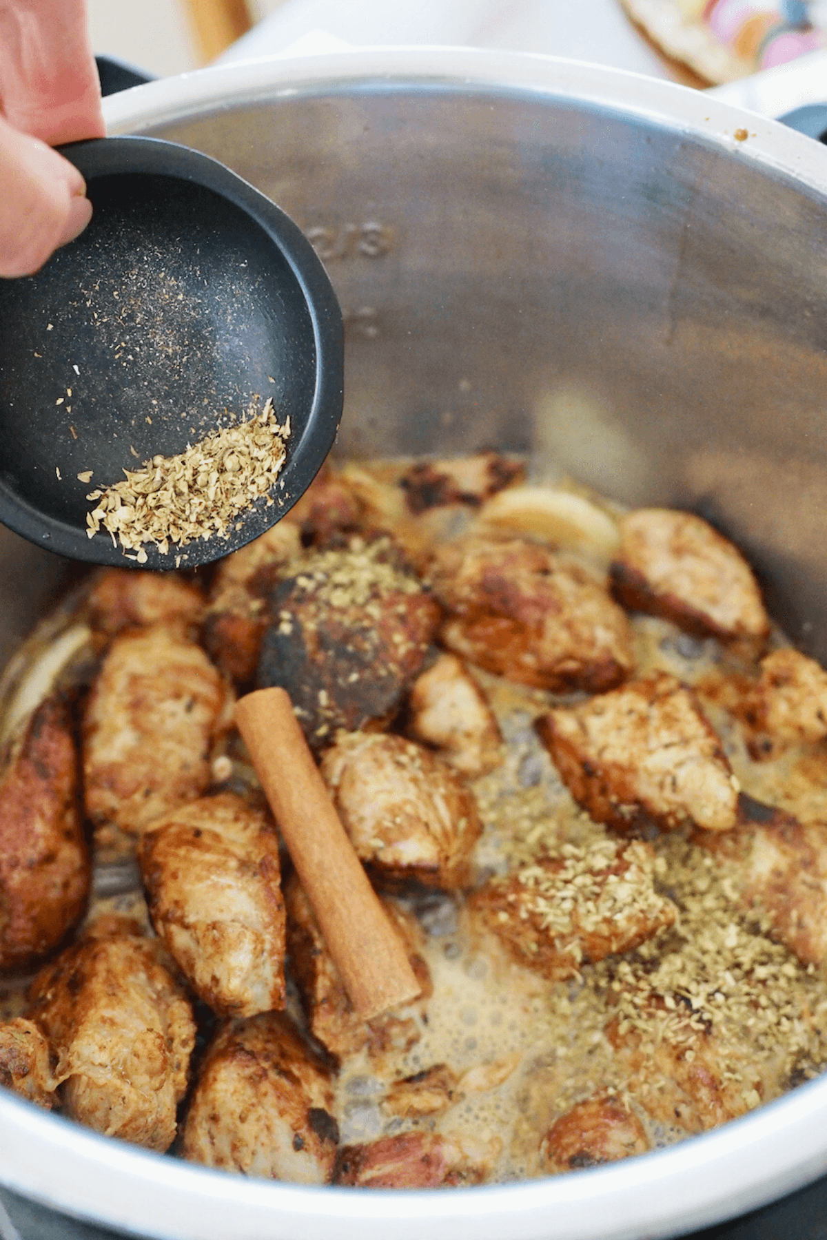 Add dried oregano and cinnamon stick to instant pot.