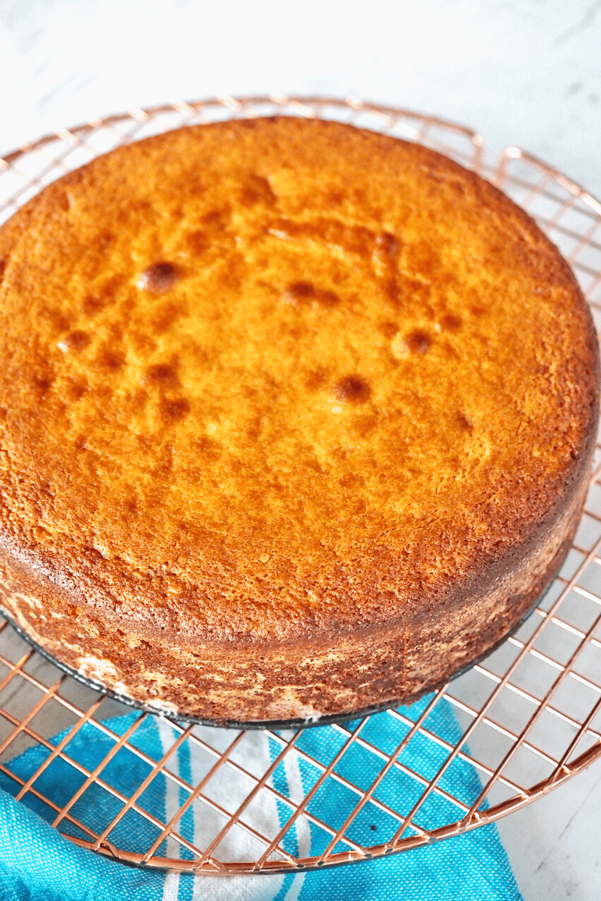 Baked Lemon ricotta cake on wire rack.