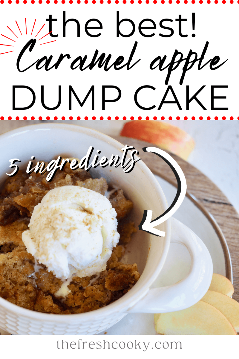 The Best Caramel Apple Dump Cake pin with close up image of dump cake in bowl topped with scoop of vanilla ice cream.
