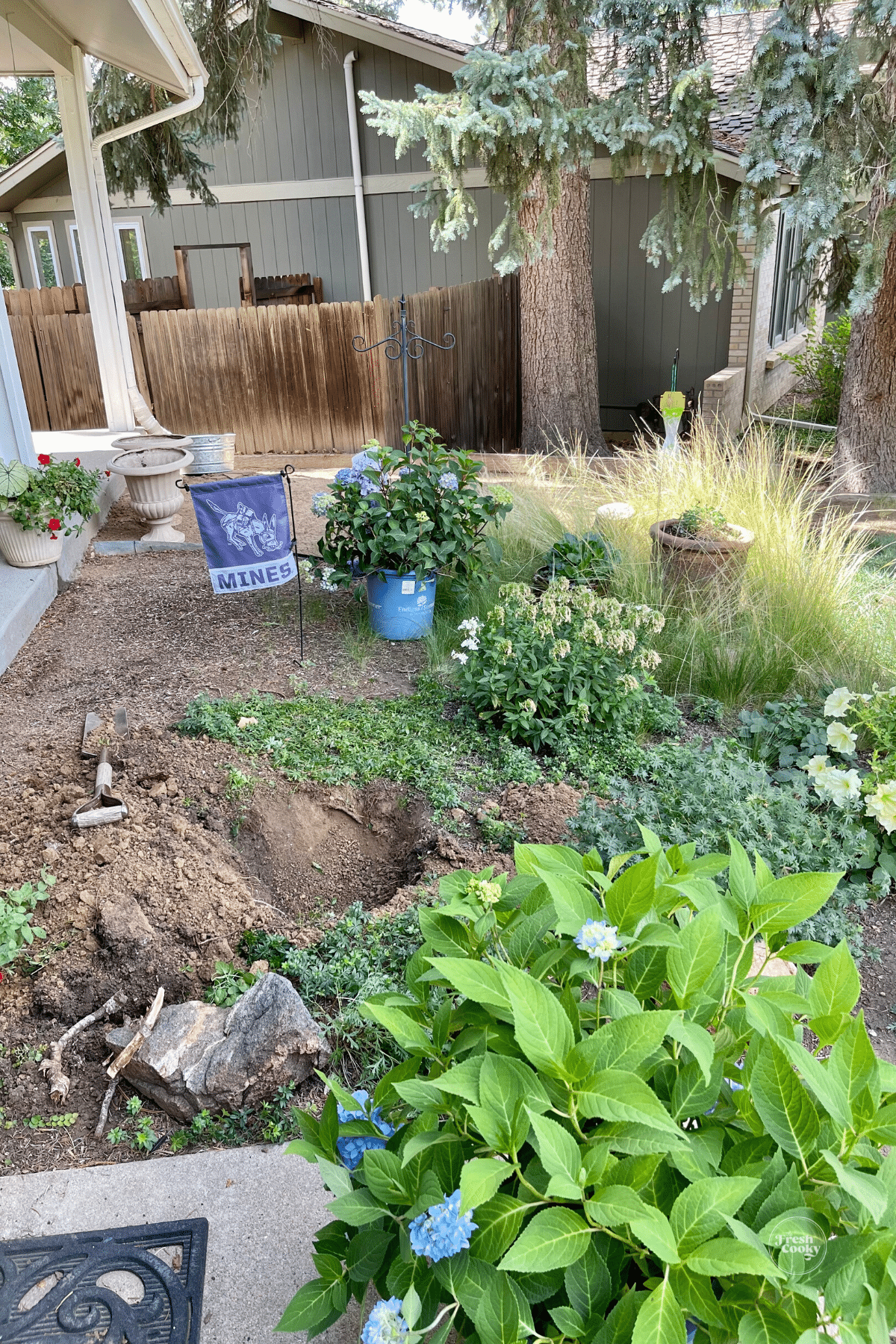 Digging holes 1 ½ times the size of the plant. 