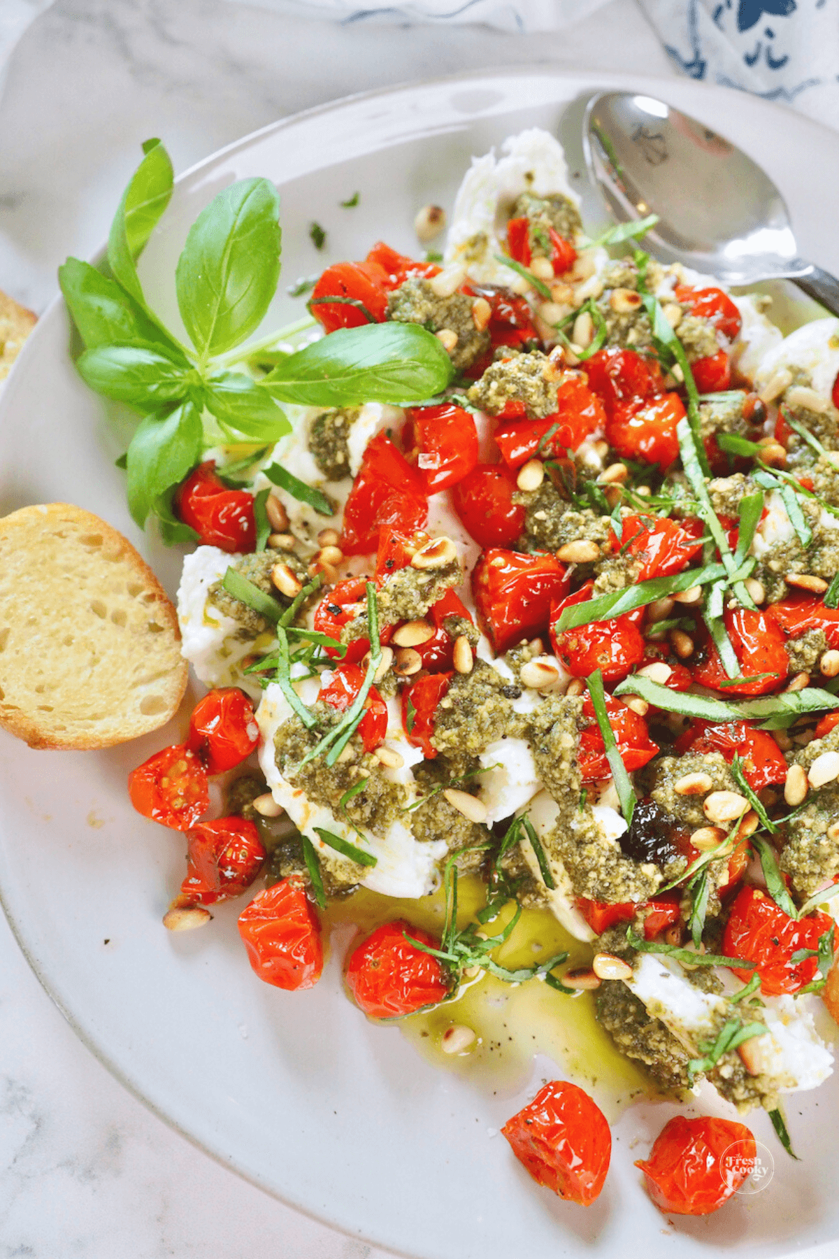 Plate filled with burrata cheese, pesto and roasted tomatoes surrounded by crostini for dipping.