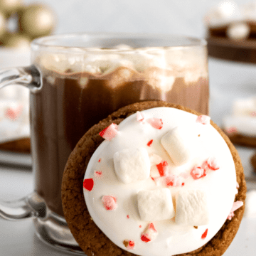 Hot chocolate cookie leaning against a steaming mug of hot chocolate.