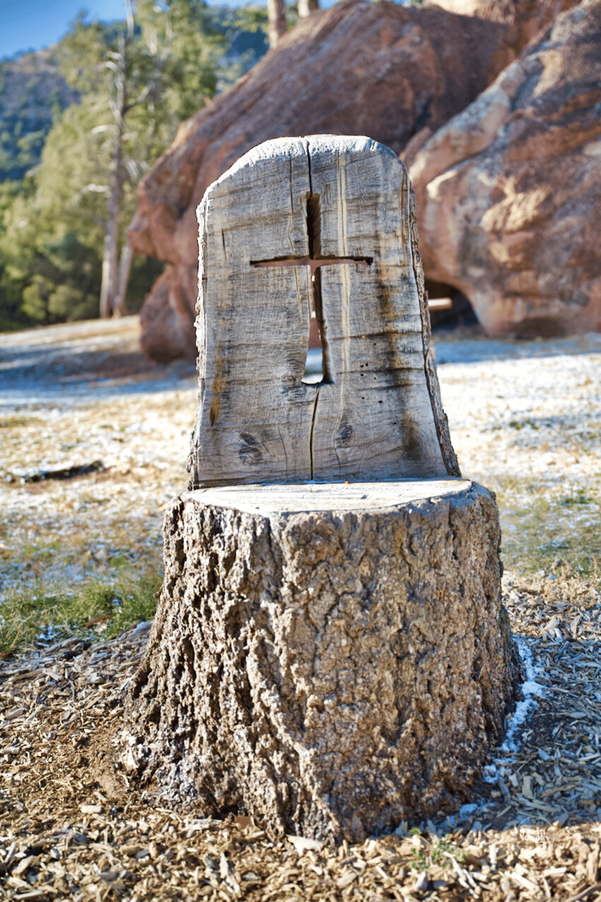 One of several "chairs" with a cross carved out of an old tree stump. 