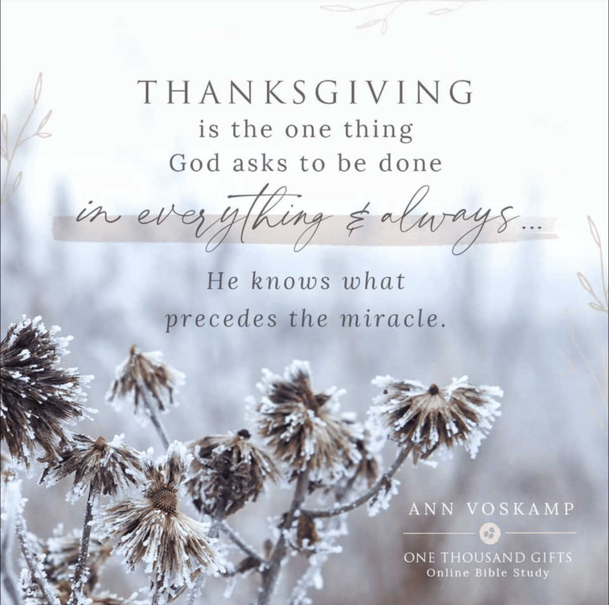 Ann Voskamp Quote for Thanksgiving. 