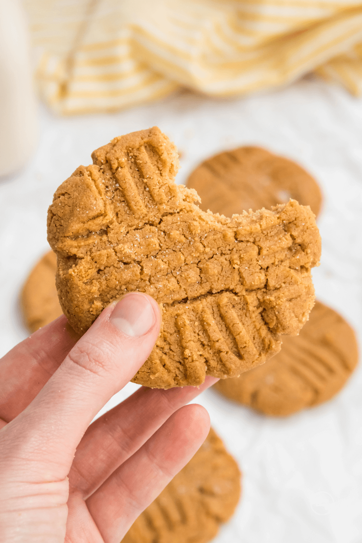 Hand holding peanut butter cookie with bite taken out of it.