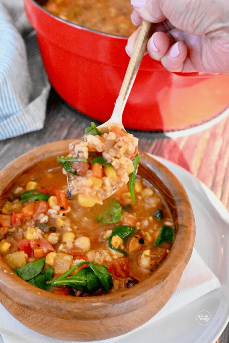 Spoonful of 10 vegetable soup (Panera Bread copycat) recipe.