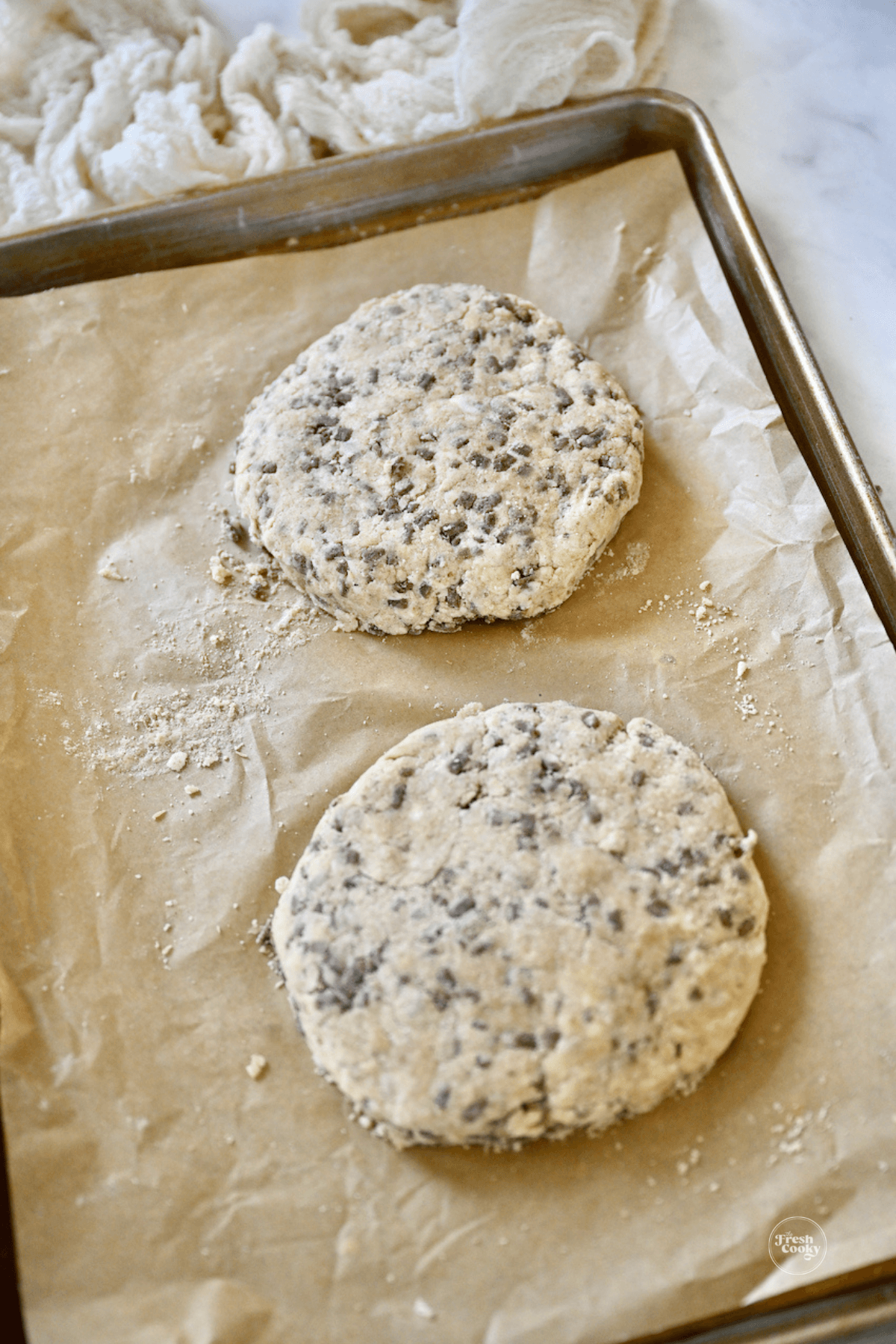 Cinnamon chip scone dough patted into two discs for mini scones. 