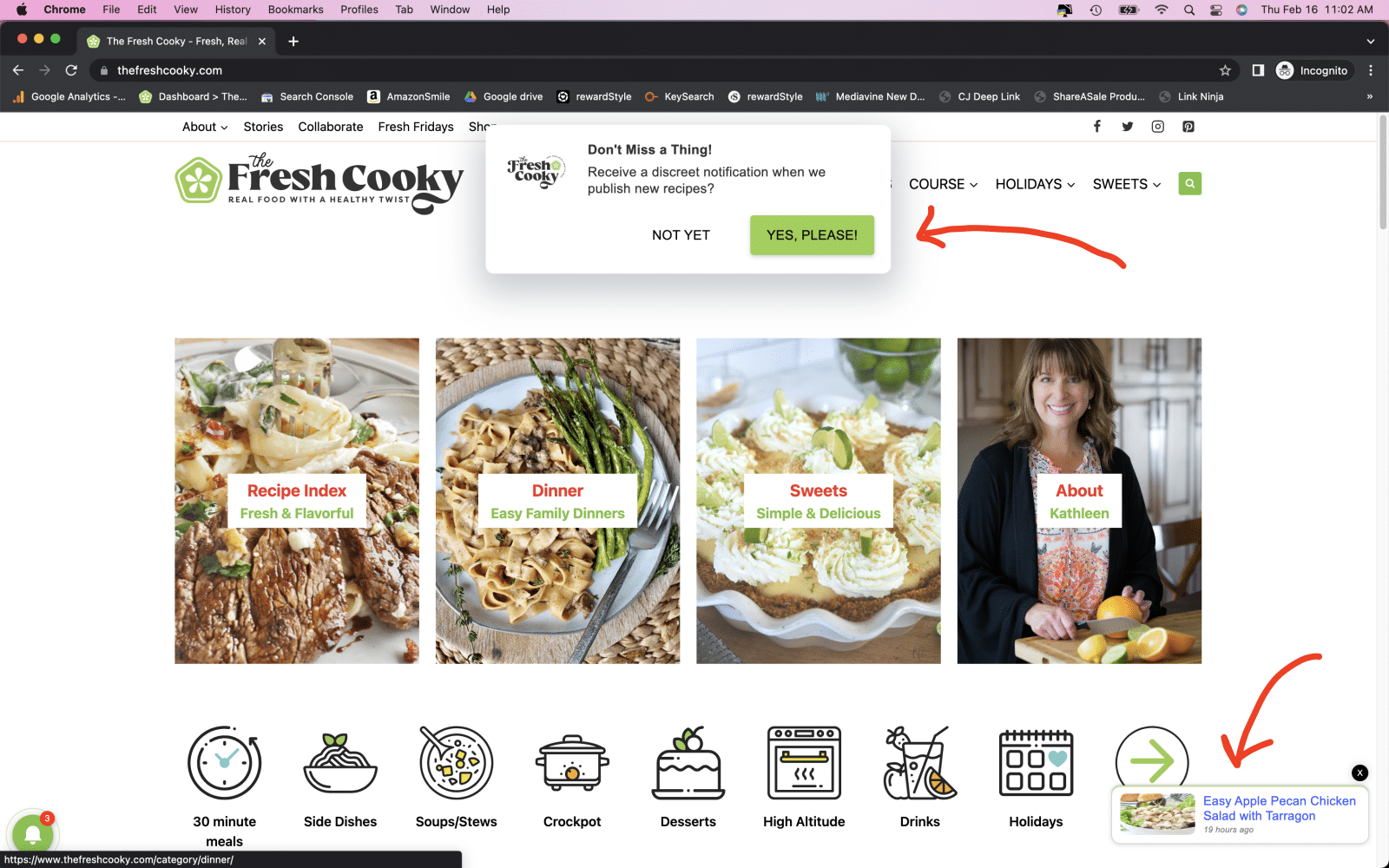 Screenshot of homempage for thefreshcooky.com with webpusher drop down highlighted/