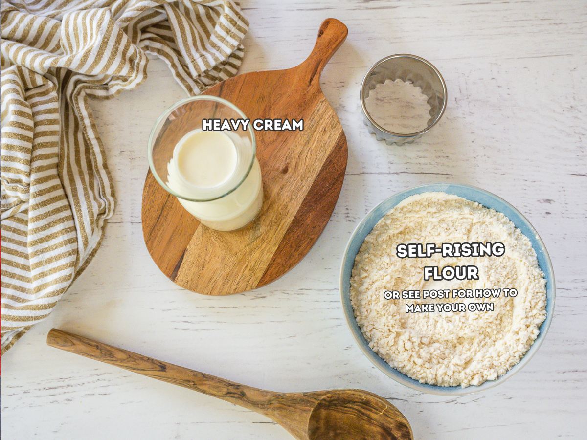 Labeled ingredients for 2 ingredient biscuit recipe.