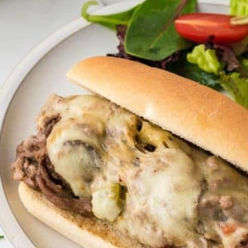 The Best Cheesecake Sandwich Story poster image of a plate with a hoagie and salad.