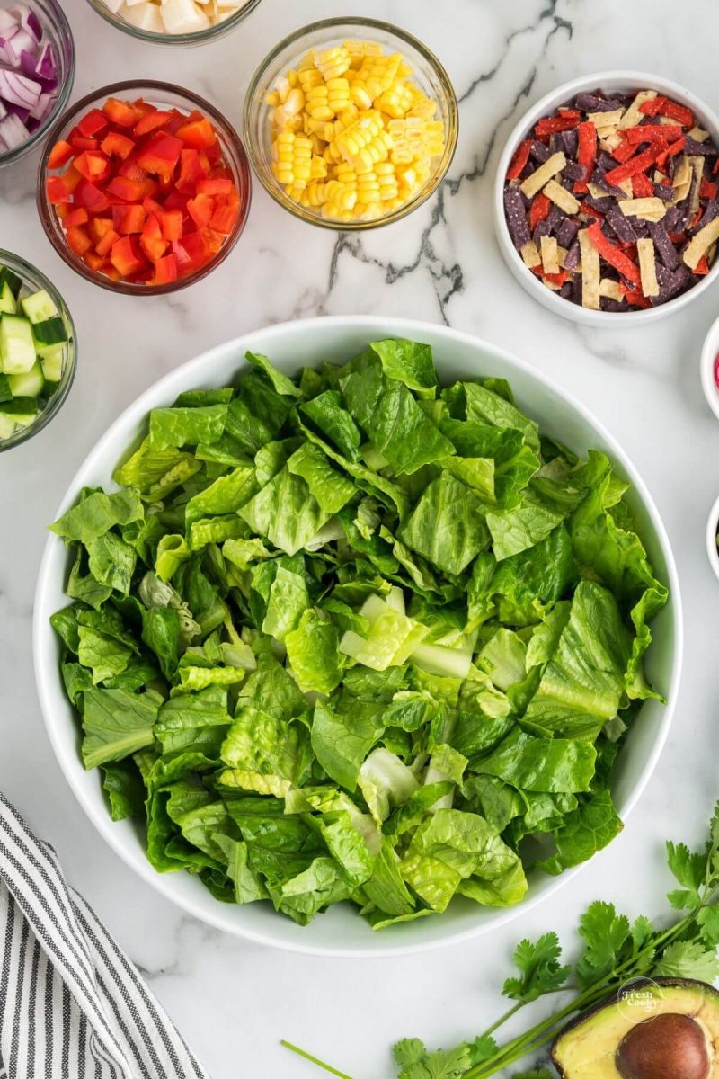 Ingredients for healthy Mexican salad surrounding a large bowl of chopped romaine lettuce.