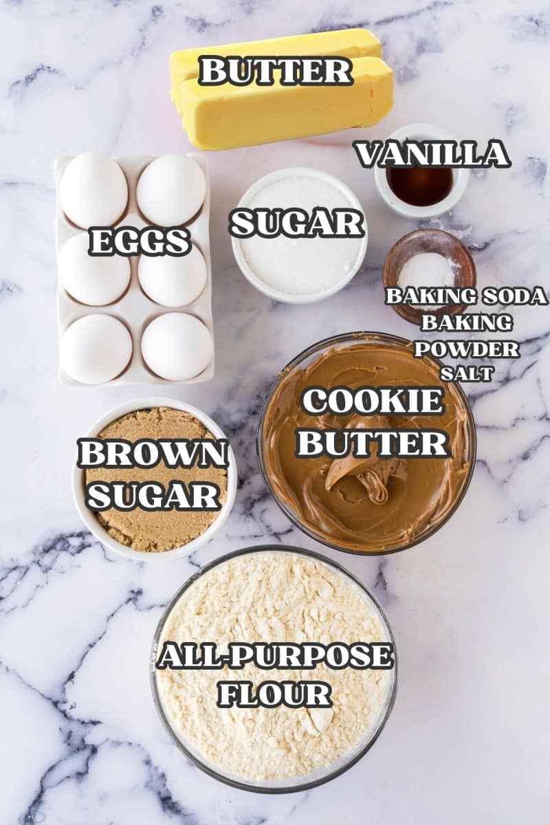 Labeled ingredients for stuffed cookie butter cookies. L->R eggs, brown sugar, flour, butter, sugar, cookie butter, vanilla, baking soda and baking powder.