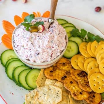 A bowl of dip is served on platter with crackers and veggies.