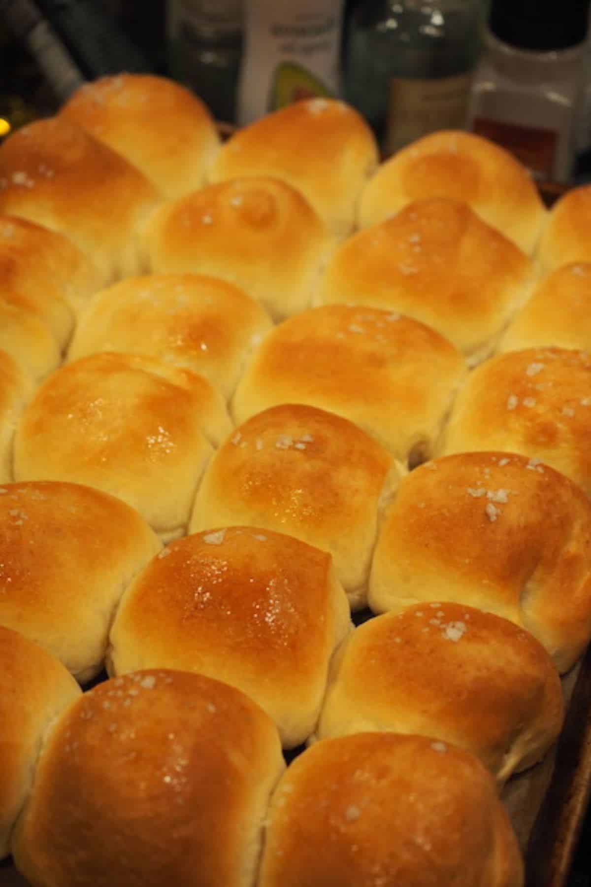 A pan of golden and fluffy easy yeast rolls.