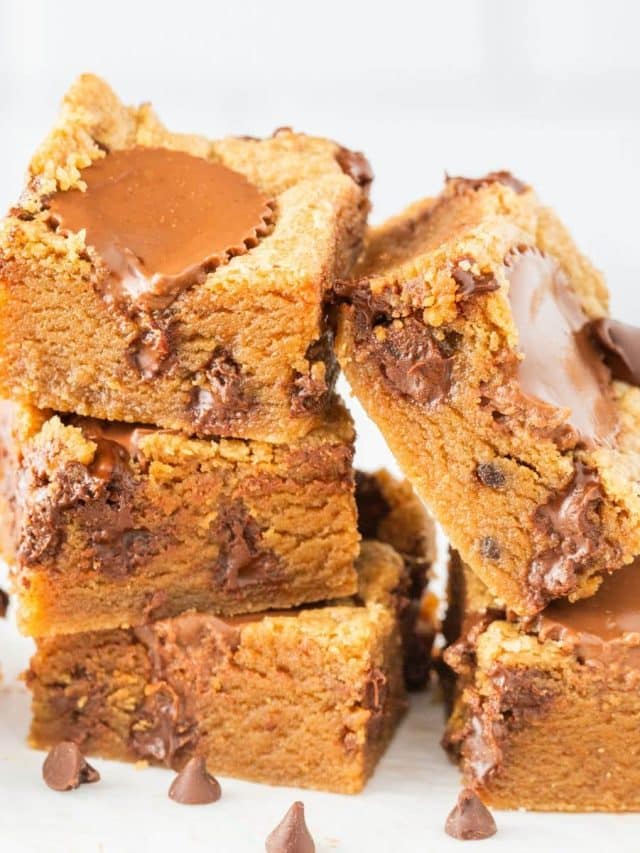 Best Peanut Butter Cup Chocolate Chip Blondies Story
