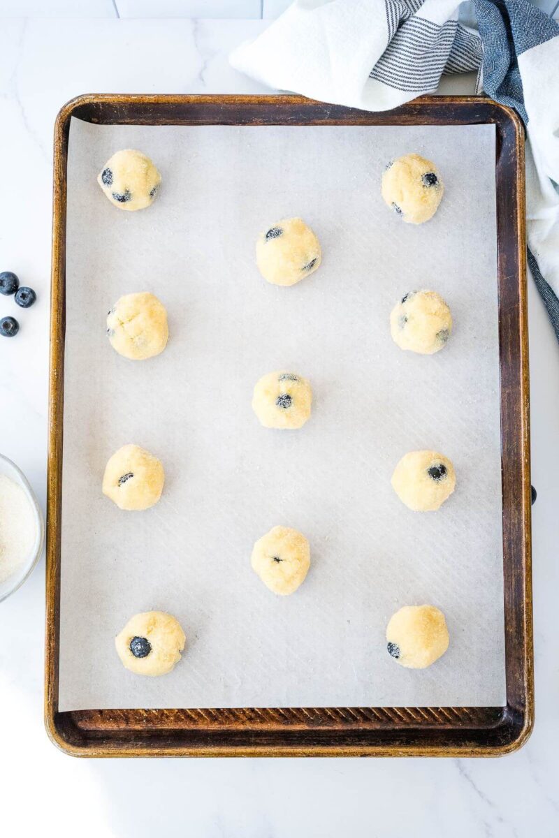 Lemon blueberry cookies ready for oven. 