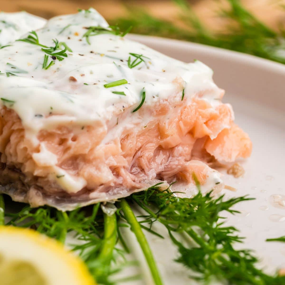 Sous vide salmon with dill sauce on plate.