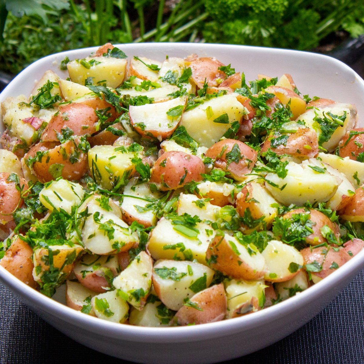 Herbed potato salad in a pretty serving bowl with parsley in background.