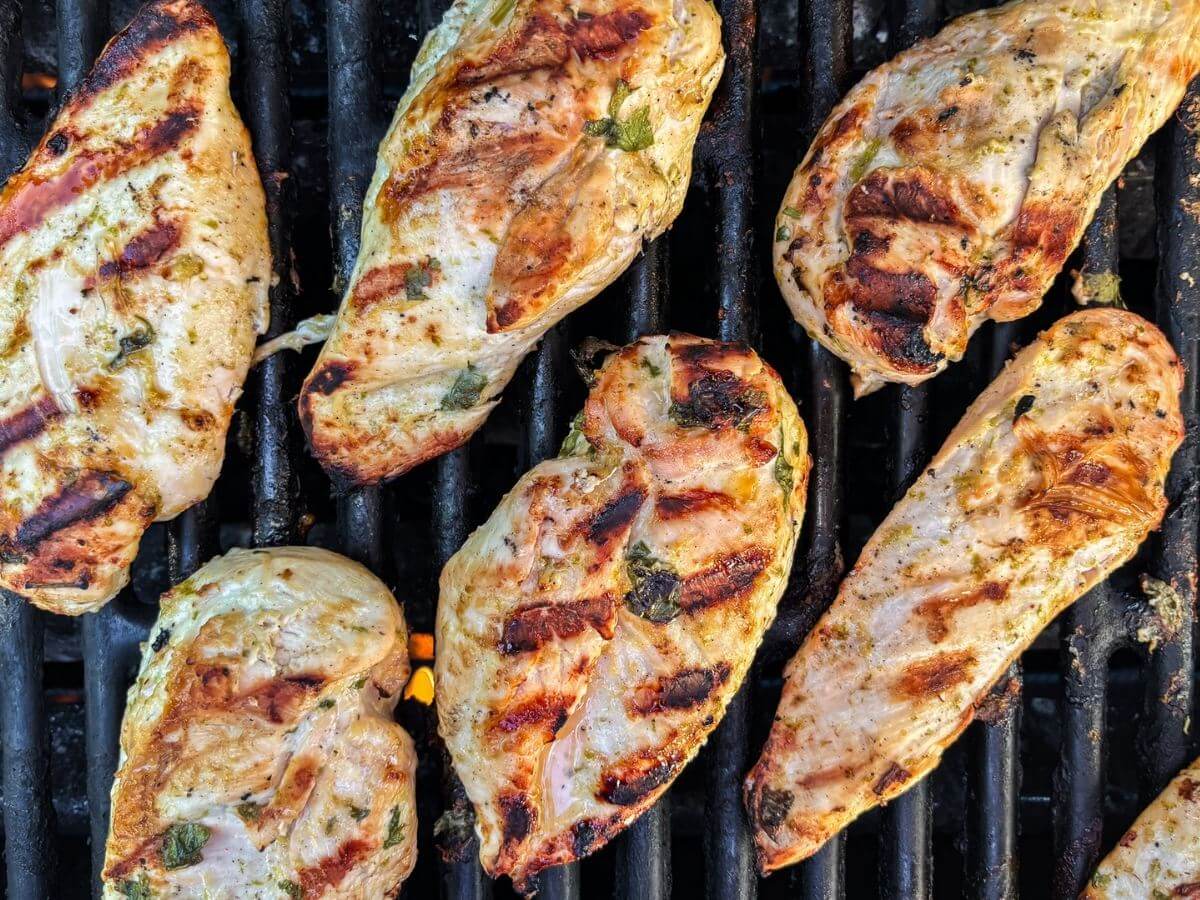 Tender chicken breasts sit on a grill.