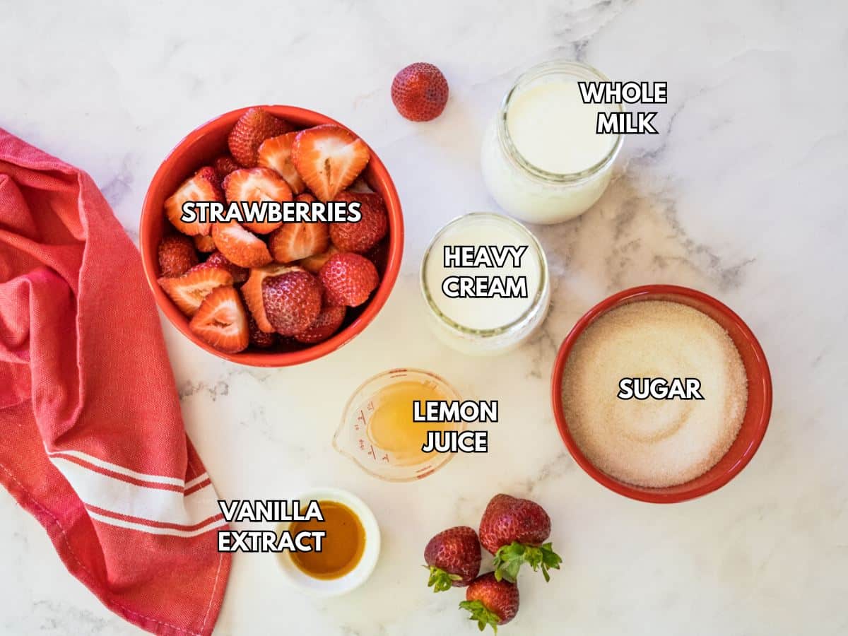 Labeled ingredients for strawberry ice cream.
