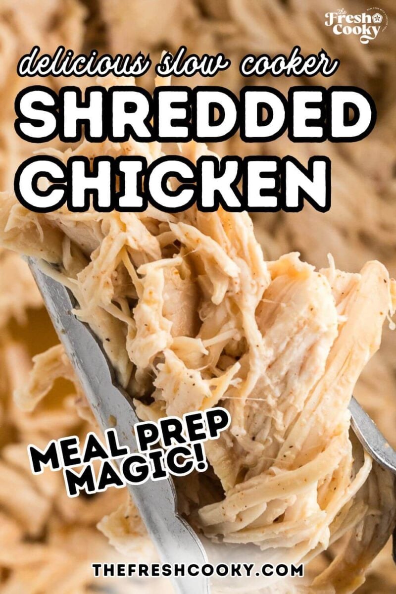 Tongs holding juicy, moist shredded crockpot chicken. To pin.