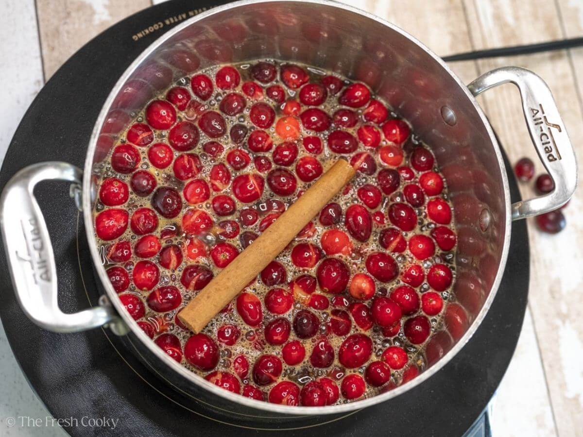 Cinnamon stick with cranberries simmering in a pot.