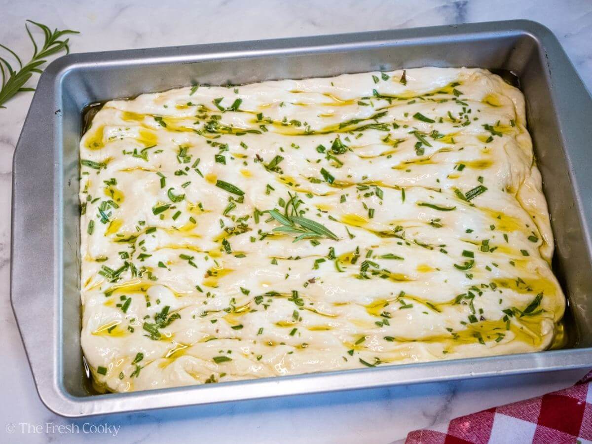 Focaccia bread dough in a baking dish topped with olive oil and rosemary.