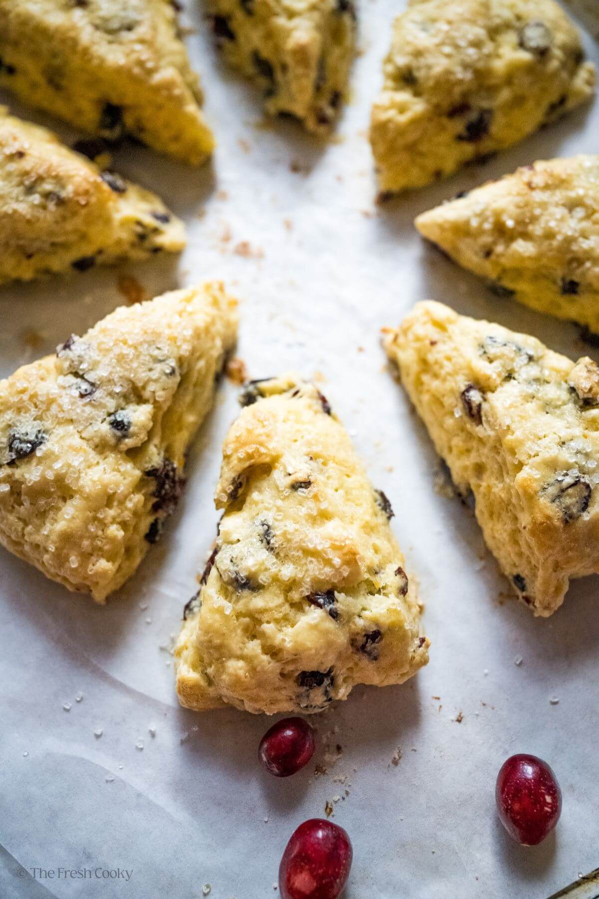 Cranberry orange scones on a baking sheet after being baked.