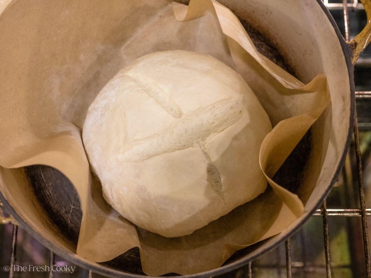 Sourdough dough placed into a dutch oven with parchment paper.