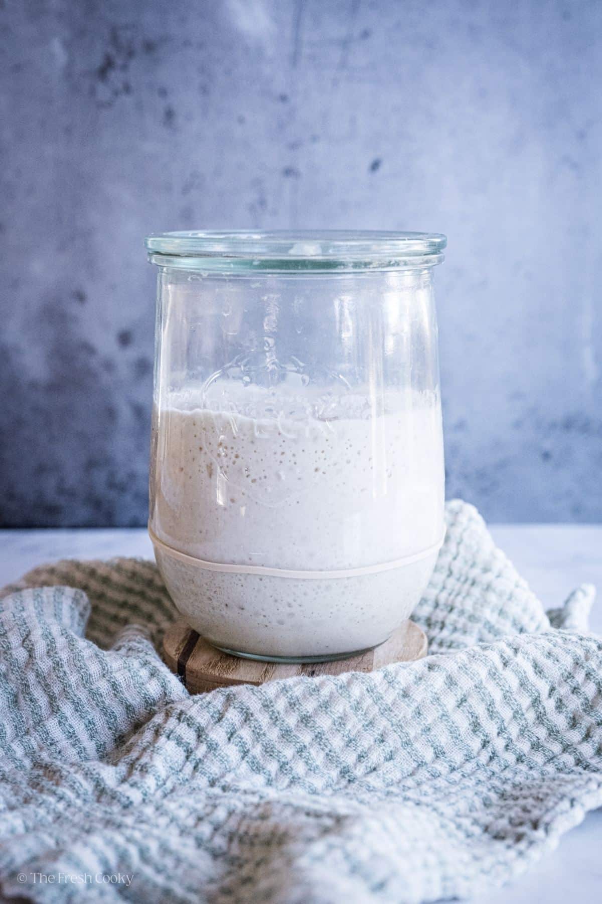 A full jar of bubbly sourdough starter. 
